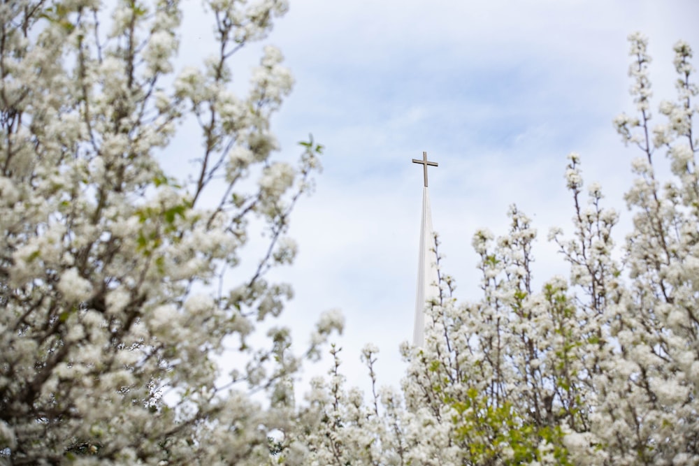 white cross on white flower field during daytime