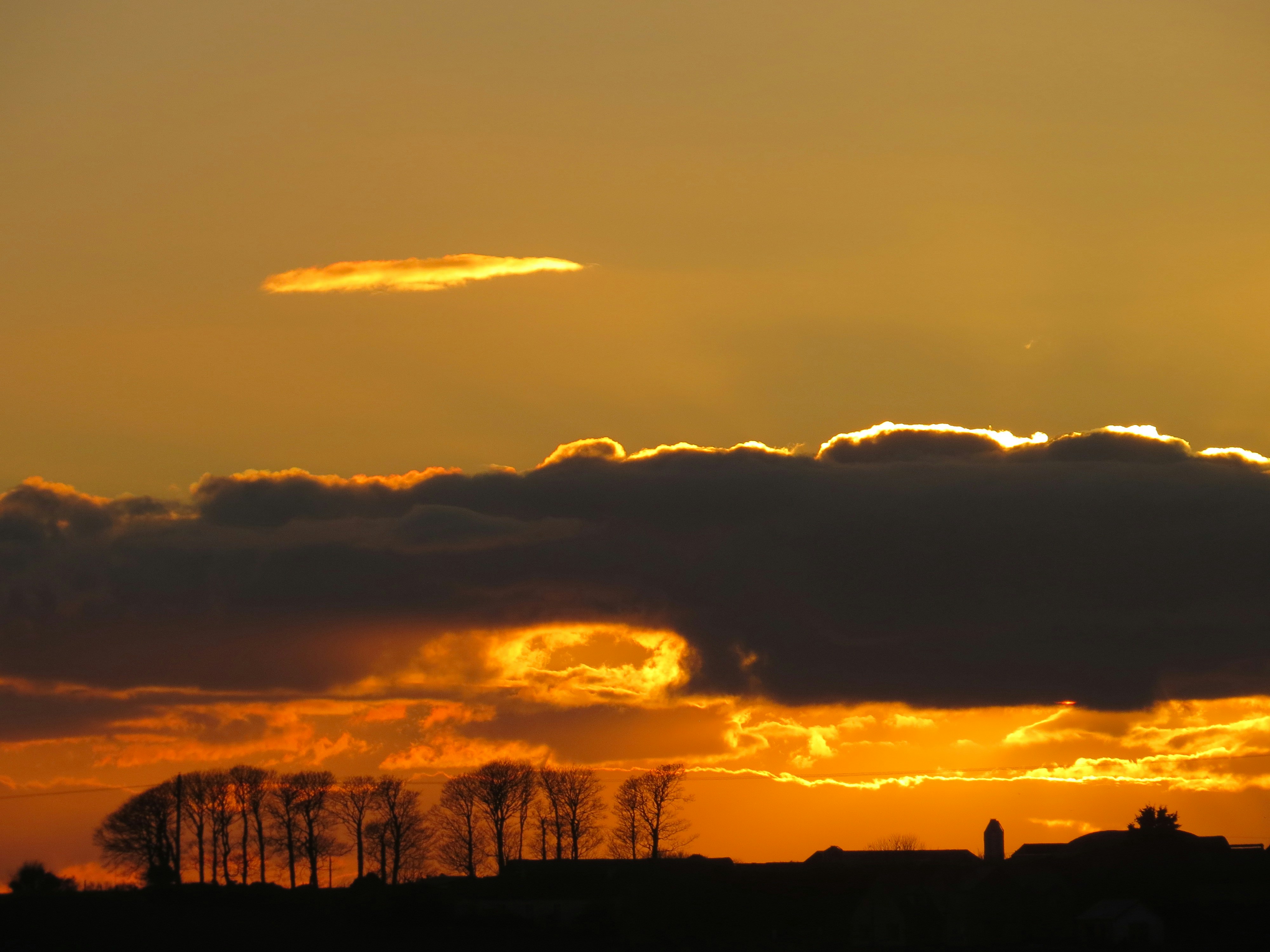 Photo by patrickireland