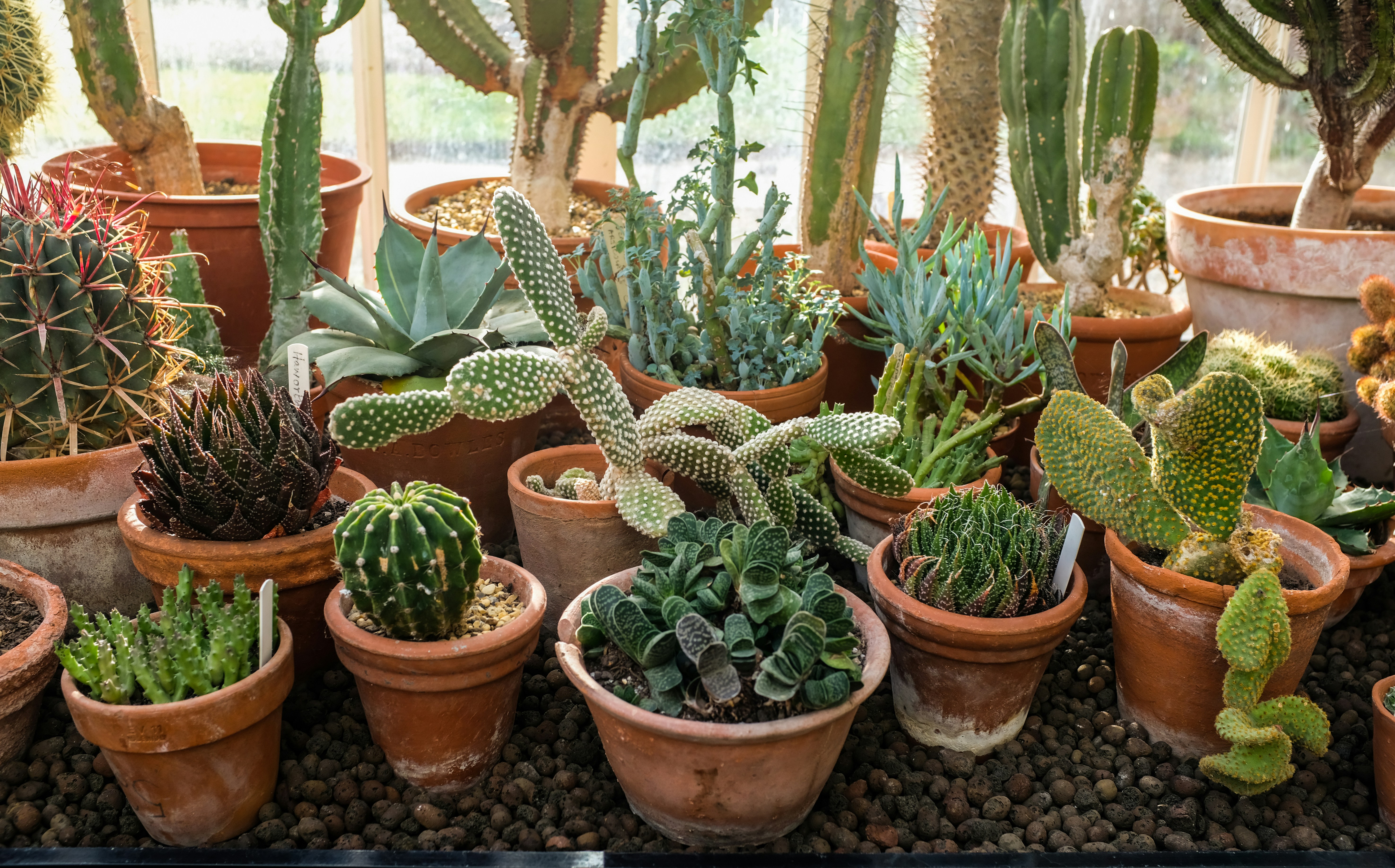 Photo by giuliahetherington