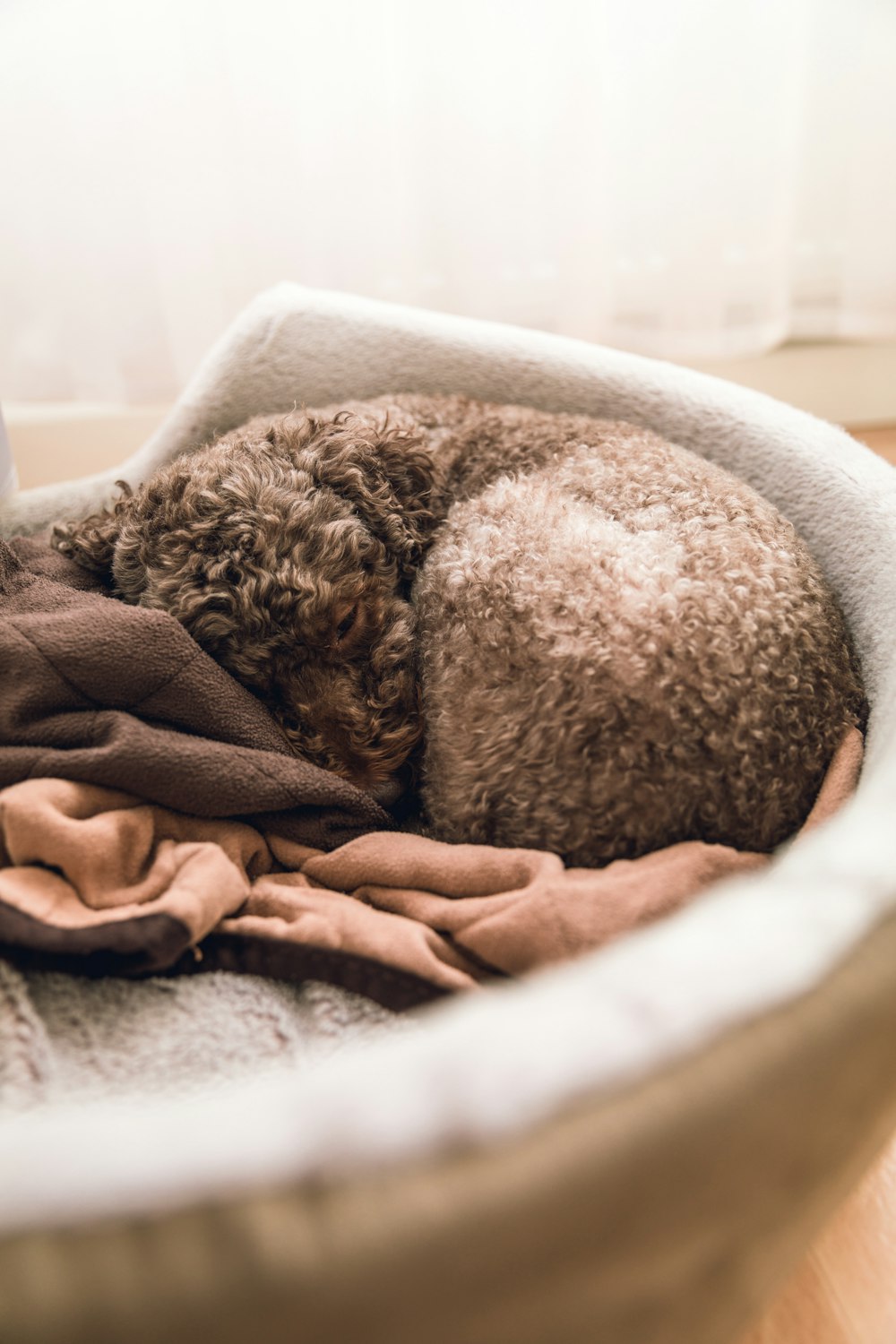 brown fur textile on white textile