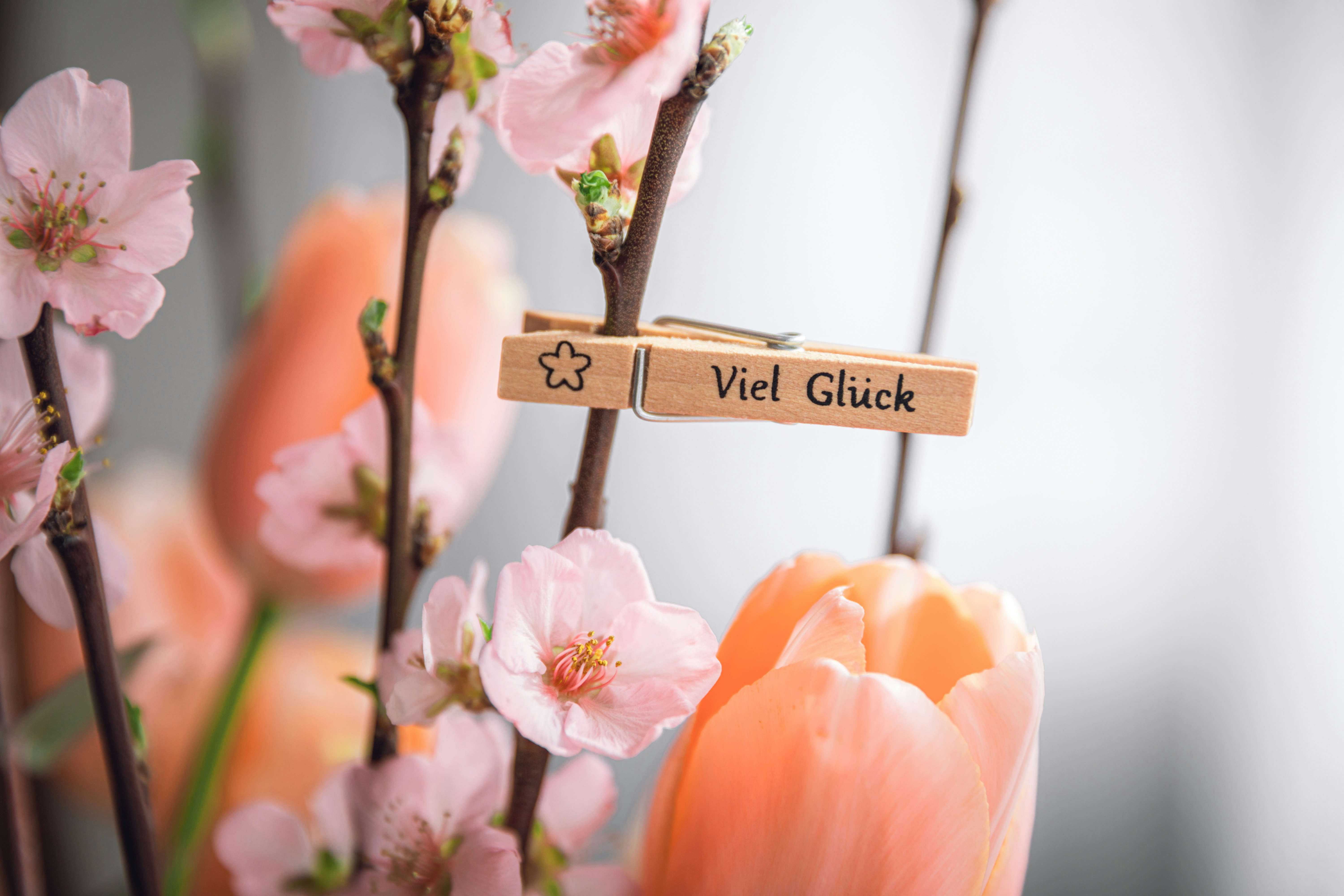 orange and purple flowers with i love you text