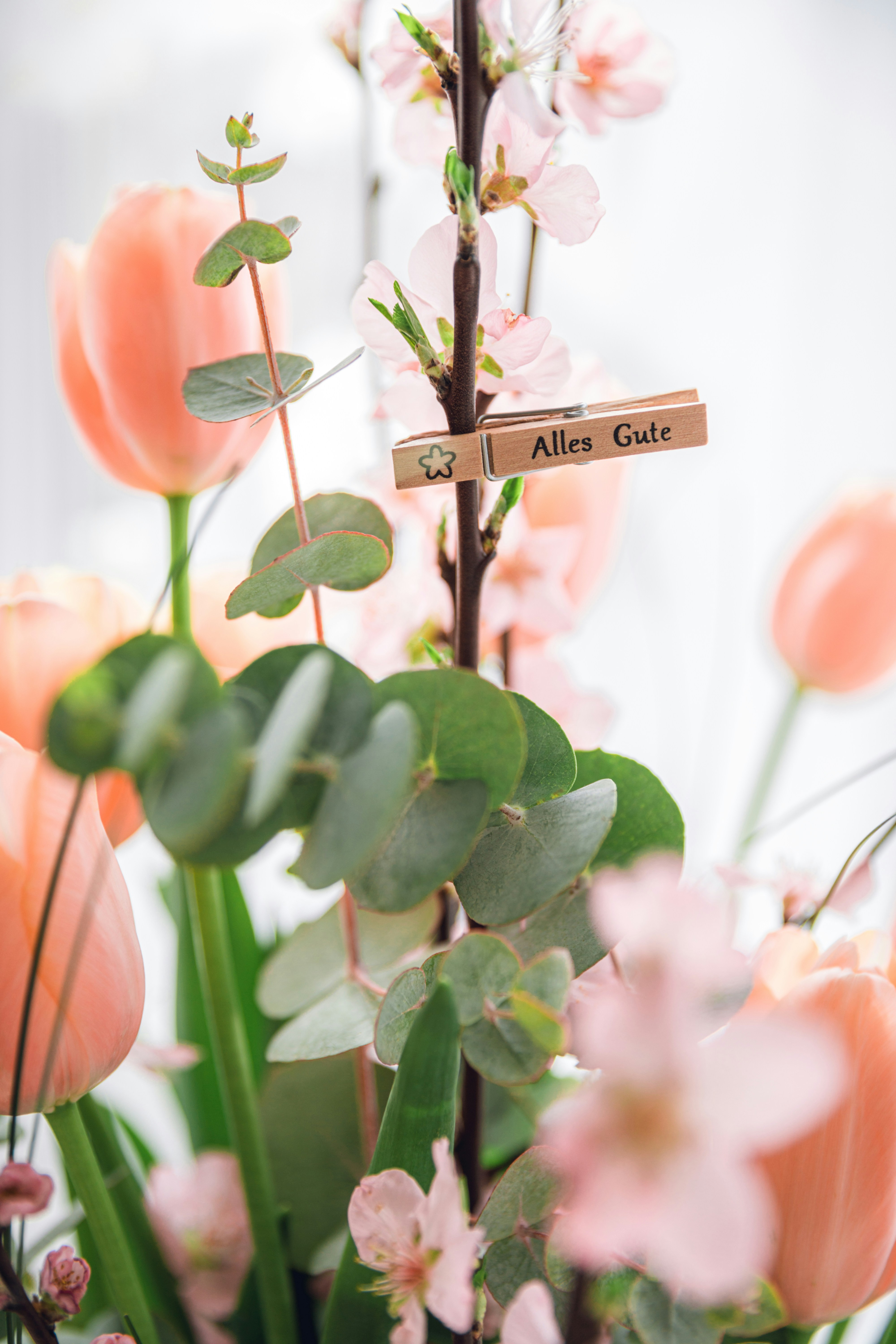 Choose from a curated selection of spring photos. Always free on Unsplash.
