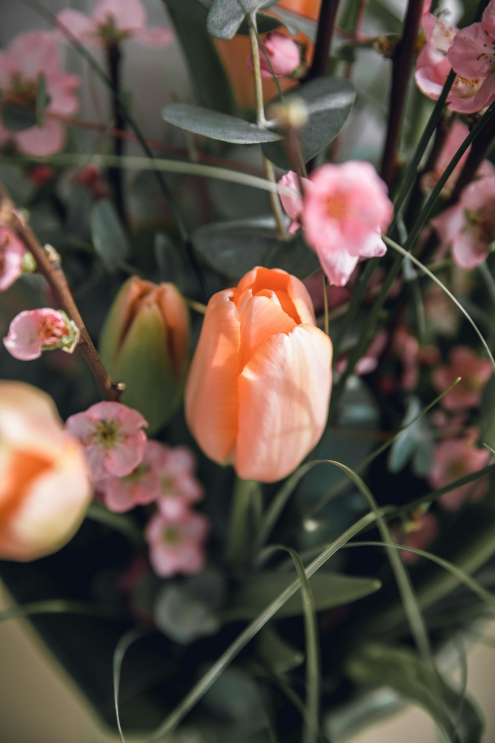 pink flower in tilt shift lens