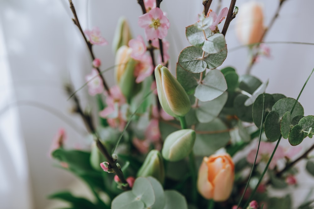 pink and white flower in tilt shift lens