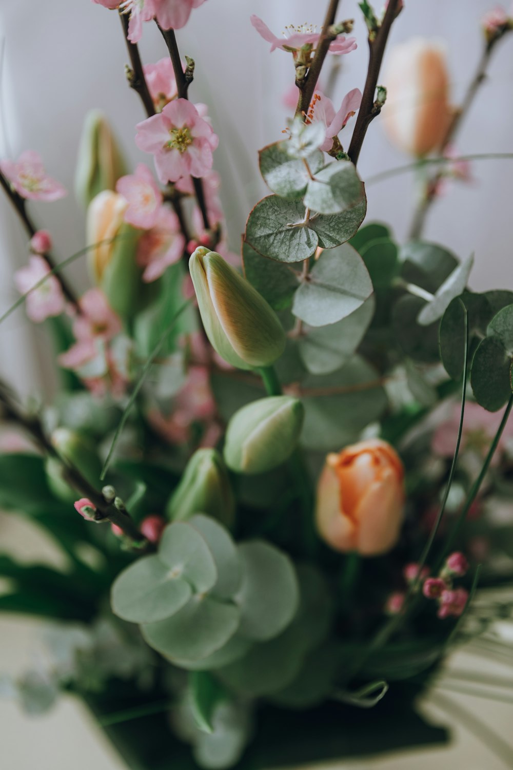 orange and green flower with green leaves