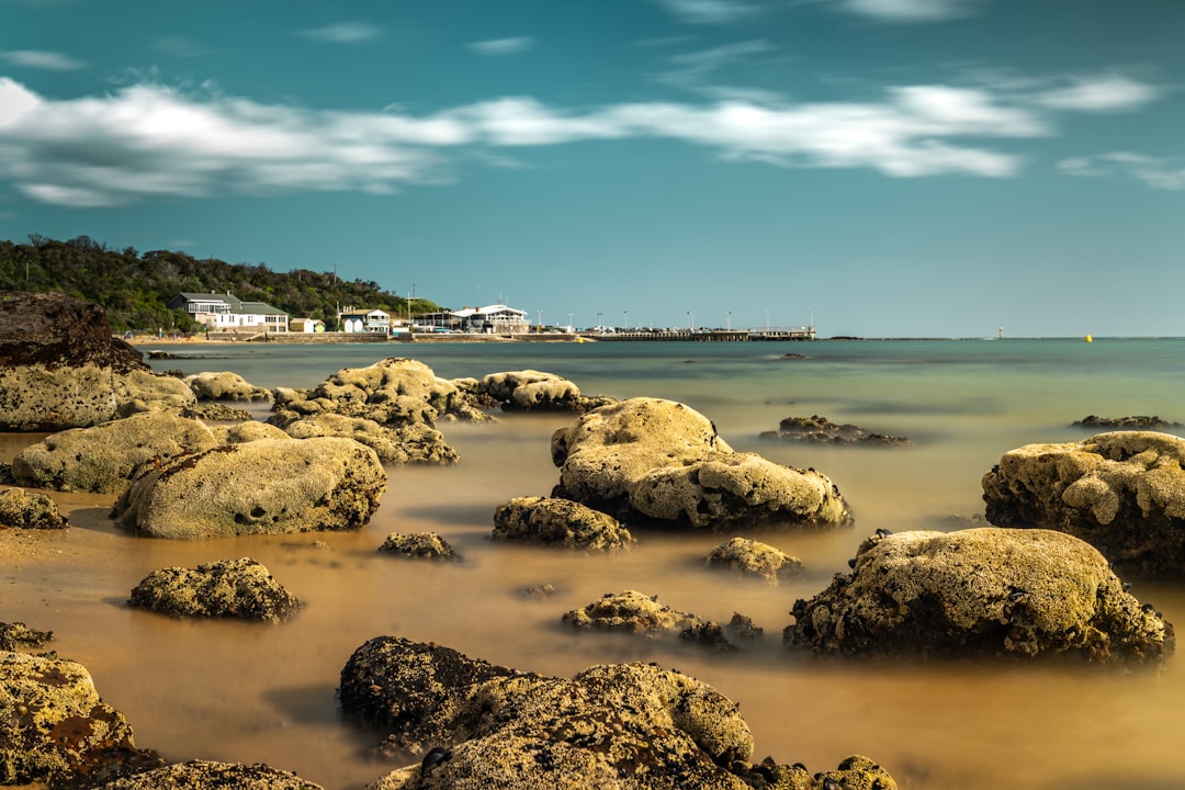 brown rocks on seashore during daytime