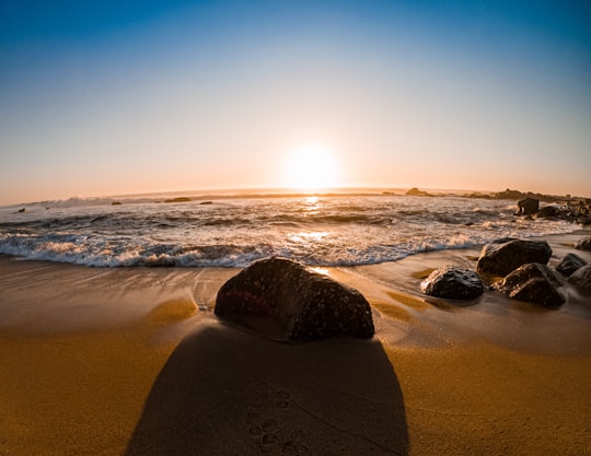 black rock on brown sand near body of water during daytime in Vila Nova de Gaia Portugal