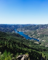 Drone-captured image of a winding river cutting through a lush green forest under a clear blue sky.