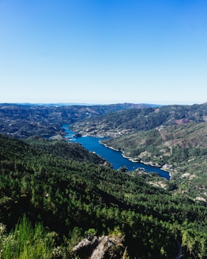 Drone-captured image of a winding river cutting through a lush green forest under a clear blue sky.