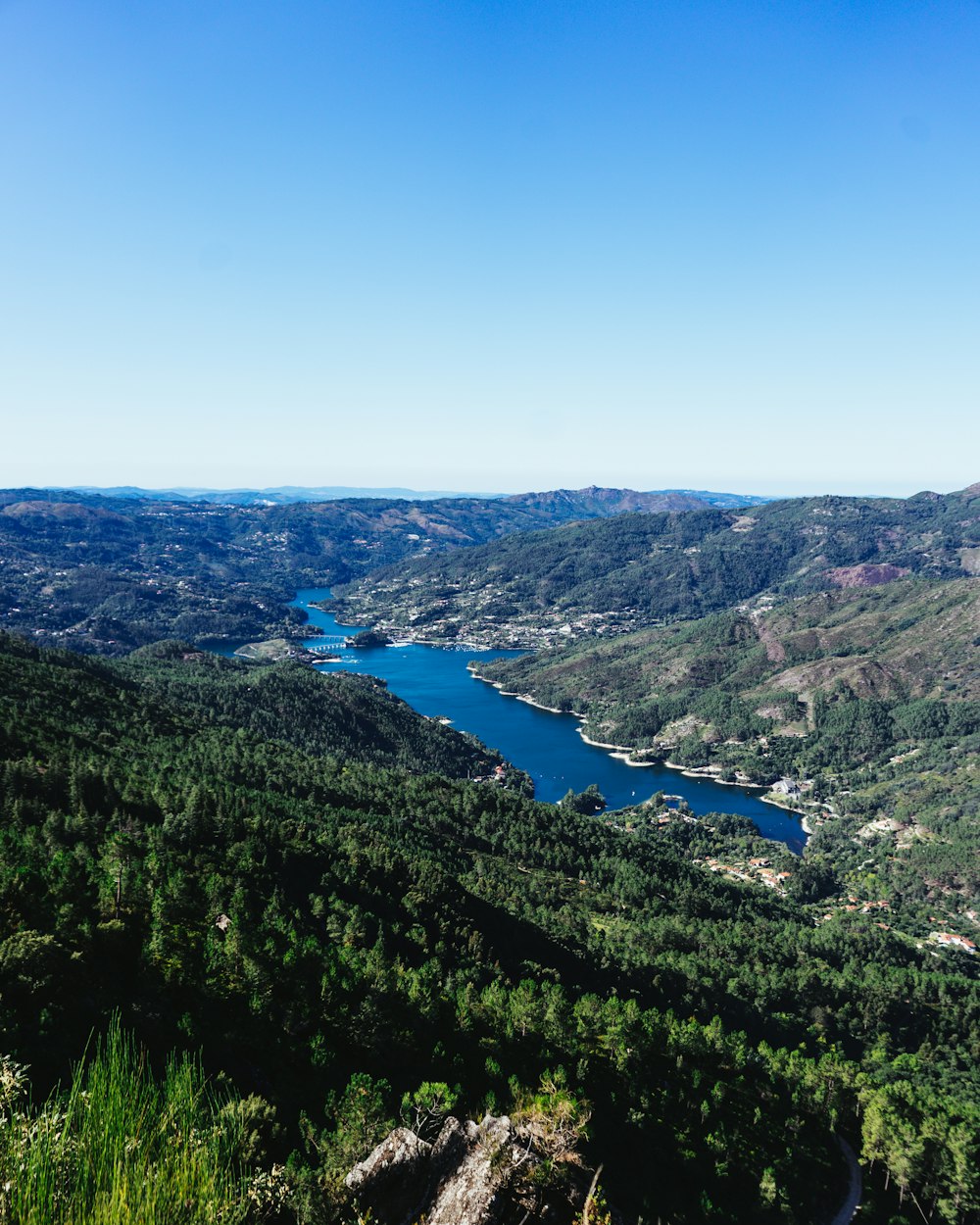 árvores verdes na montanha durante o dia