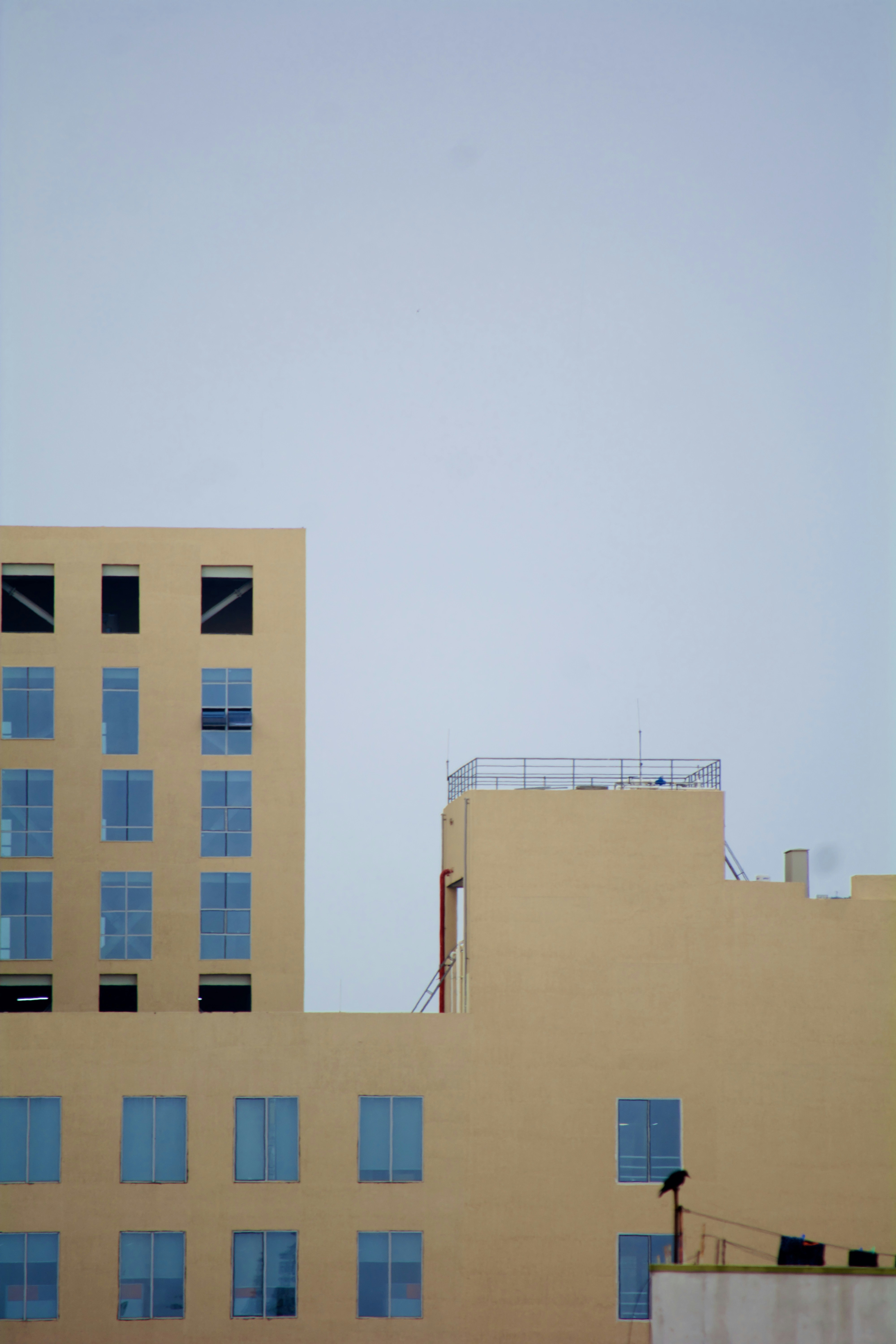Photo by arptrastogi