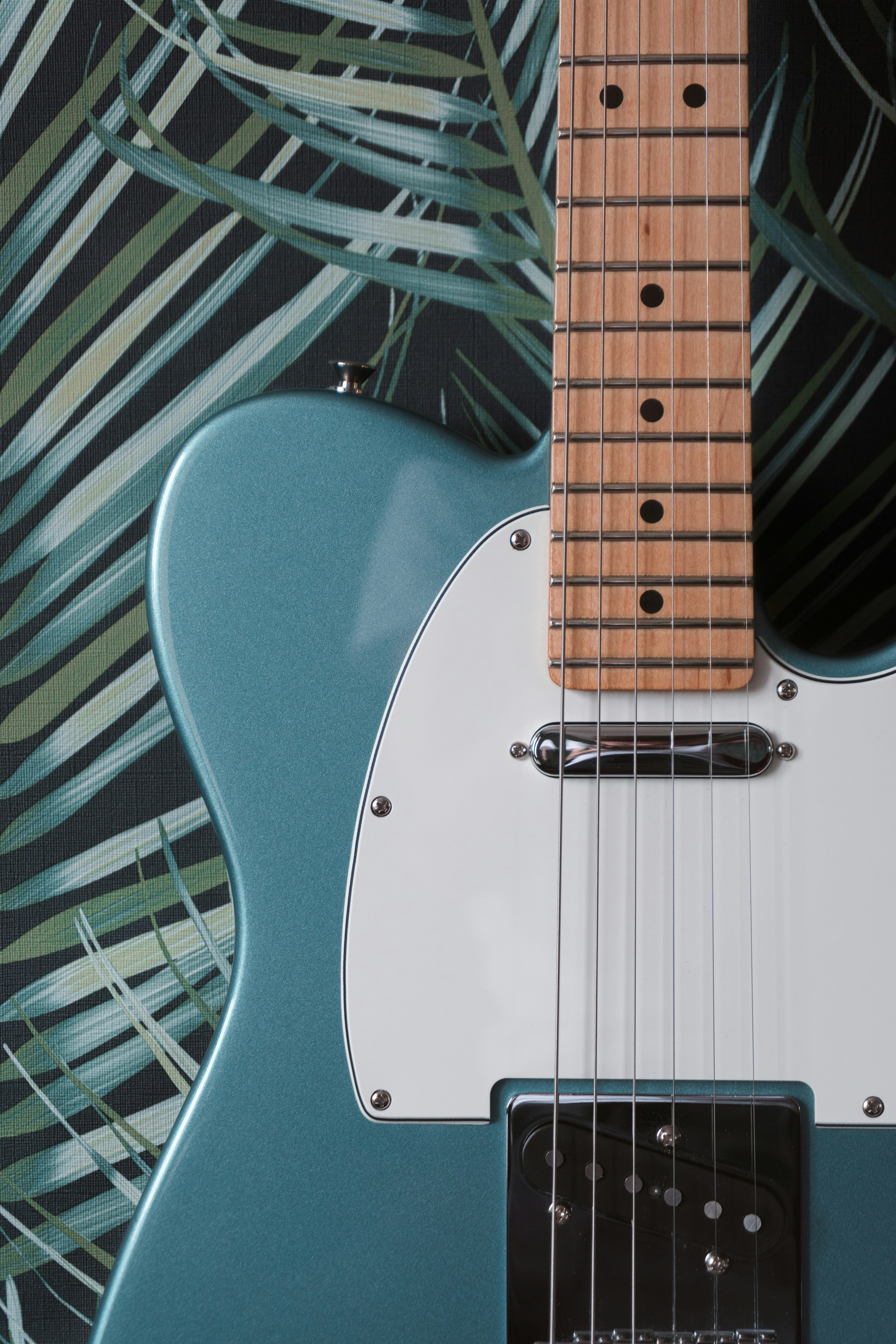 Fender Guitar Pictures Download Free Images On Unsplash