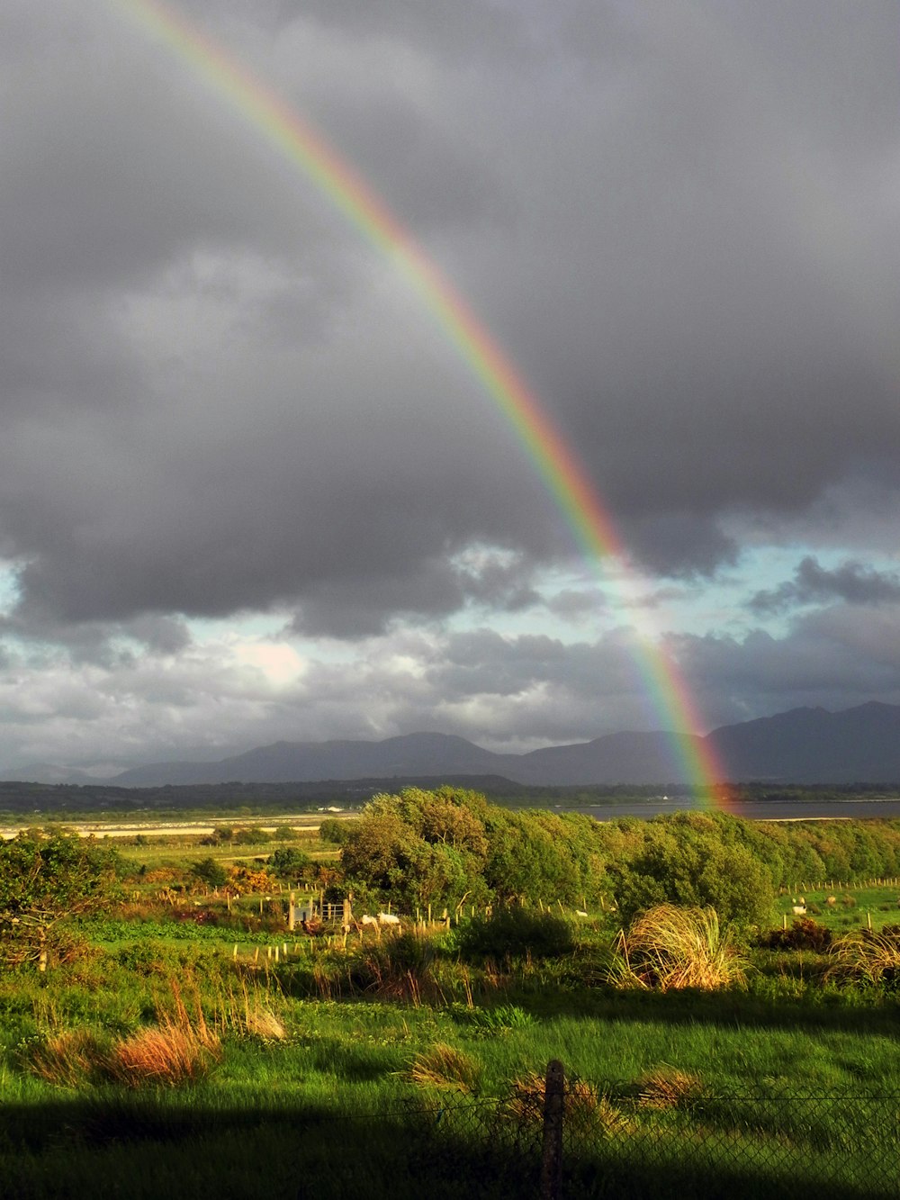 Grünes Grasfeld unter Regenbogen