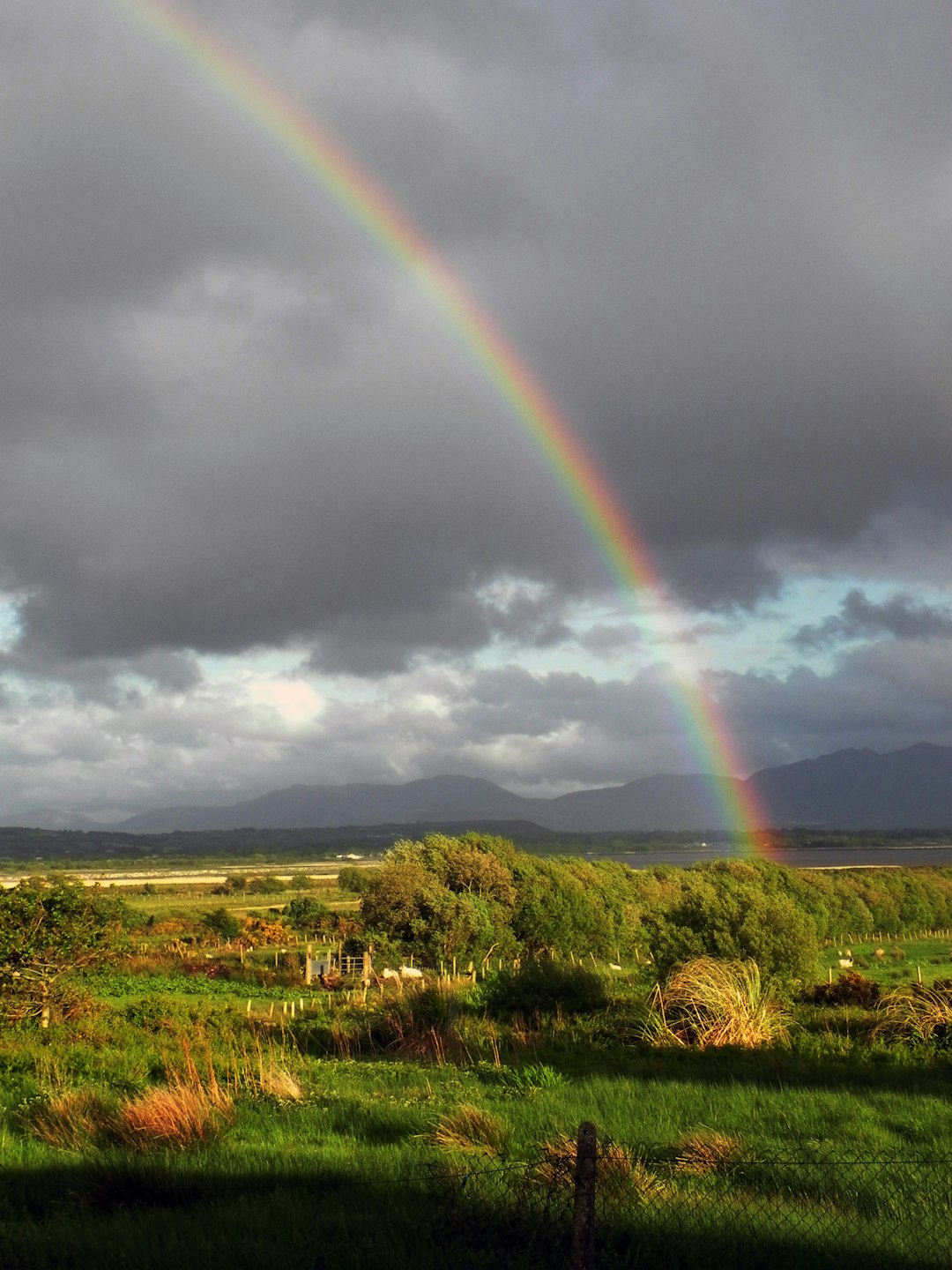 Ecoregion photo spot Kerry Dingle Peninsula