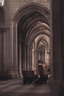 brown wooden chairs inside building