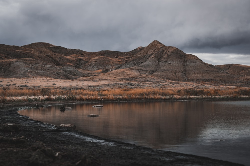 brown mountain near body of water during daytime