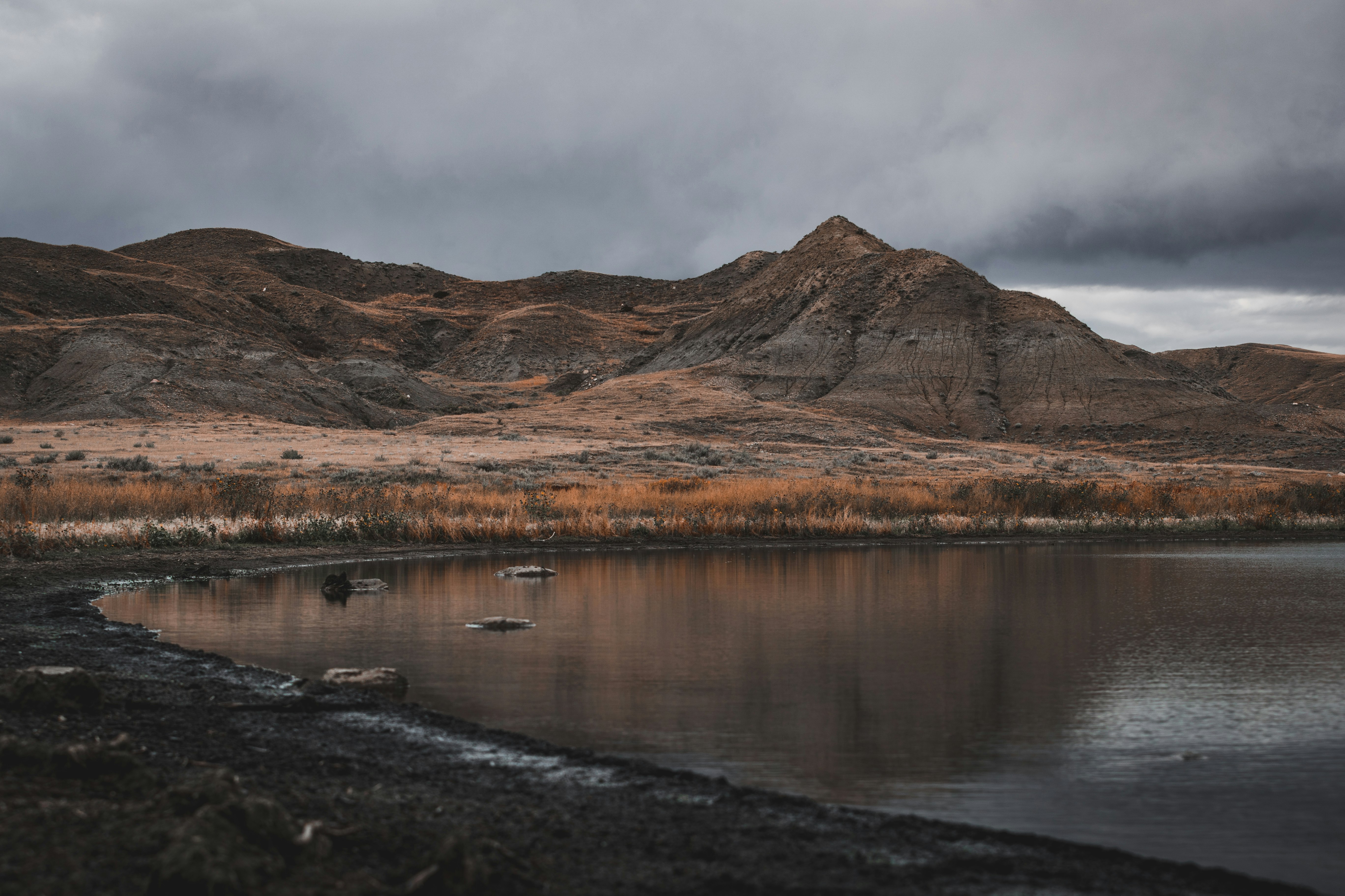 brown mountain near body of water during daytime