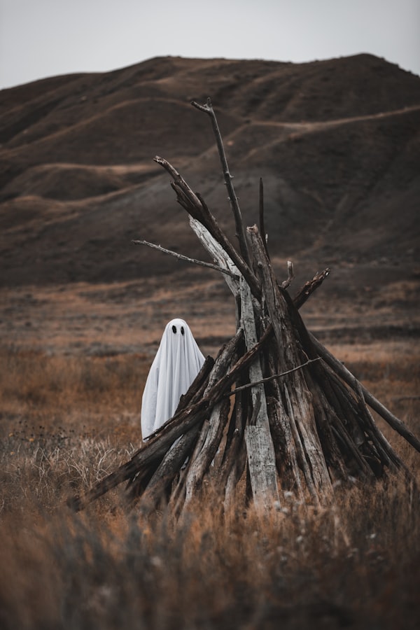 Picture of a person covered in a white sheet standing in a dry field behind a pile of old wood.