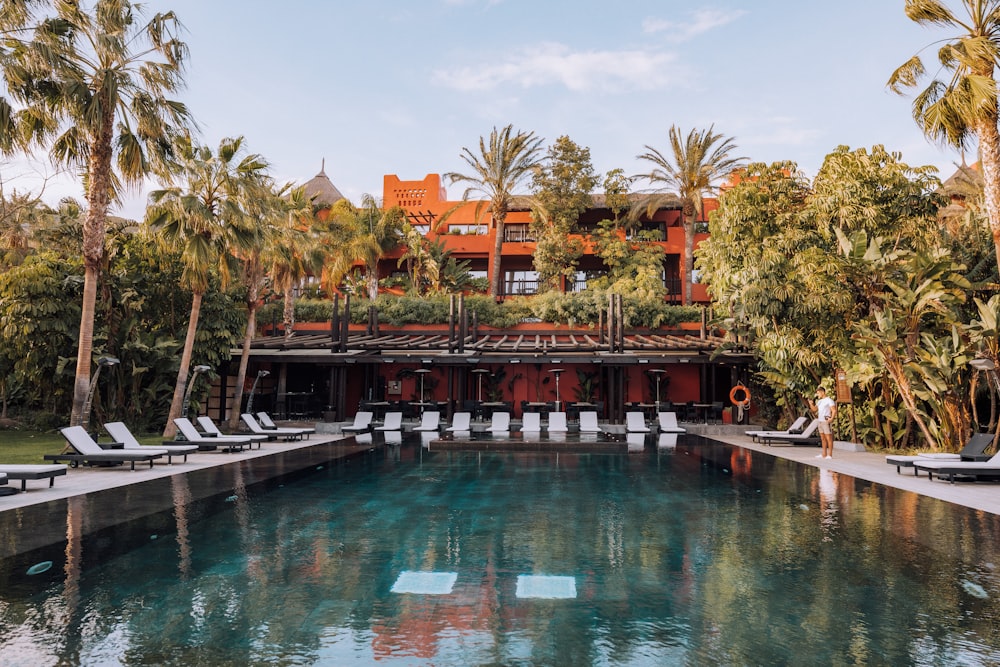 swimming pool surrounded by trees during daytime