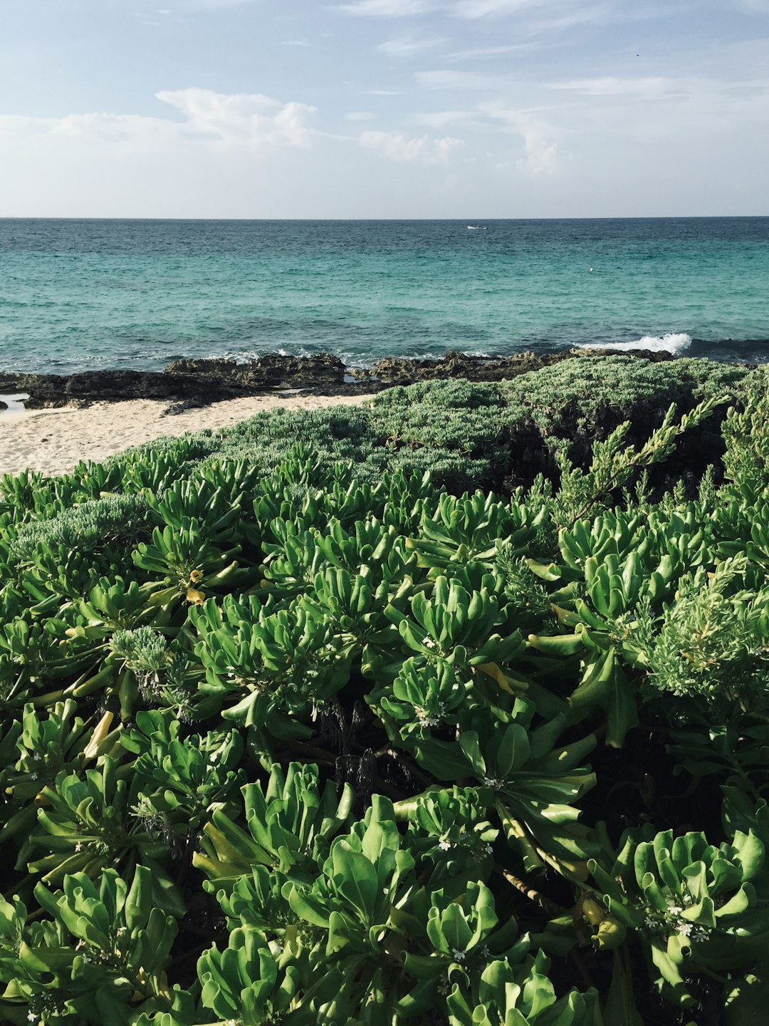 Shore photo spot Solidaridad Cancún