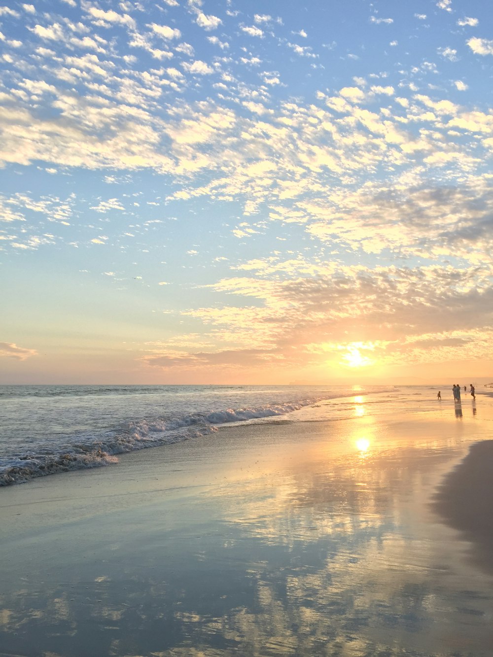 people on beach during sunset