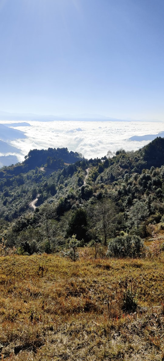 green trees on mountain under white clouds during daytime in Haibung Nepal