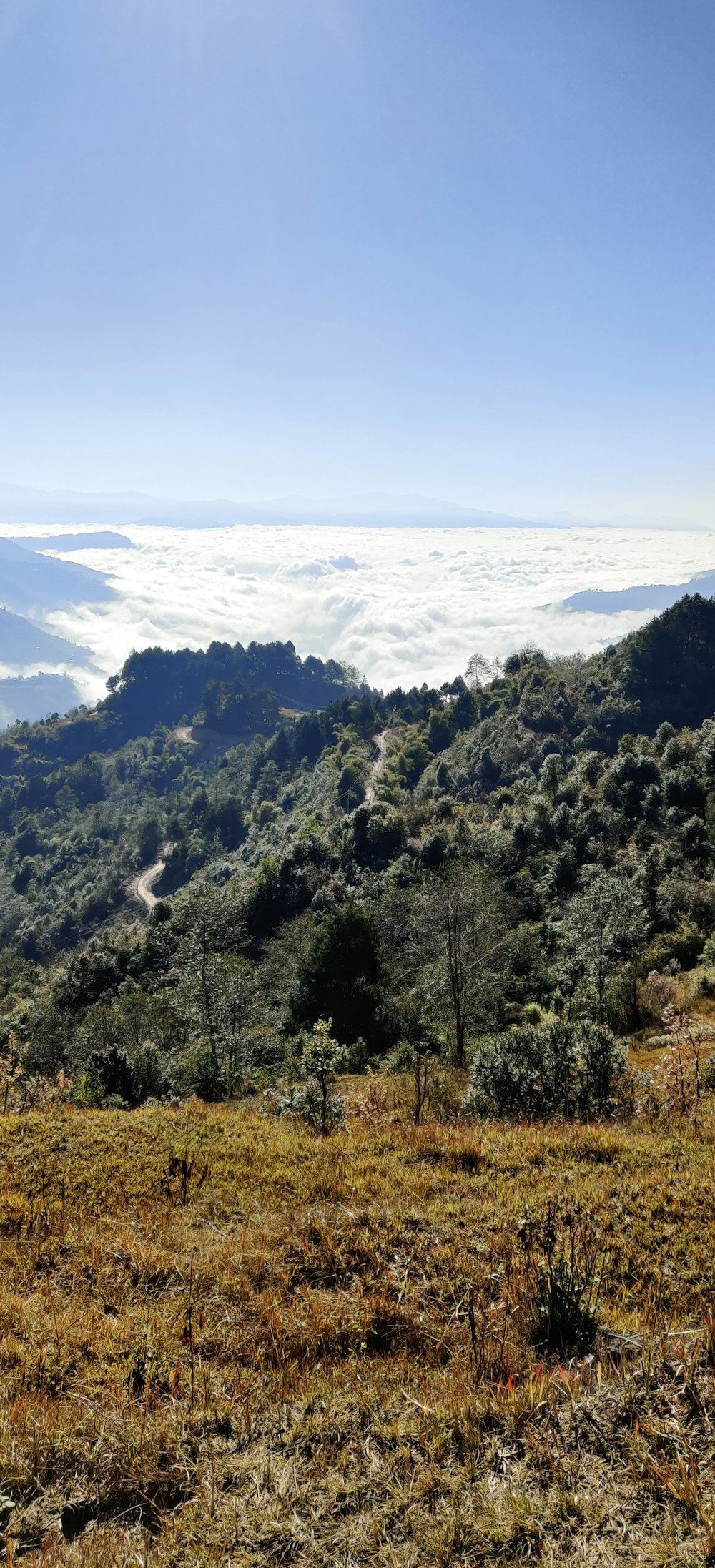 green trees on mountain under white clouds during daytime