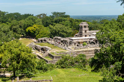 The Maya palace at Palenque standing among the jungle trees