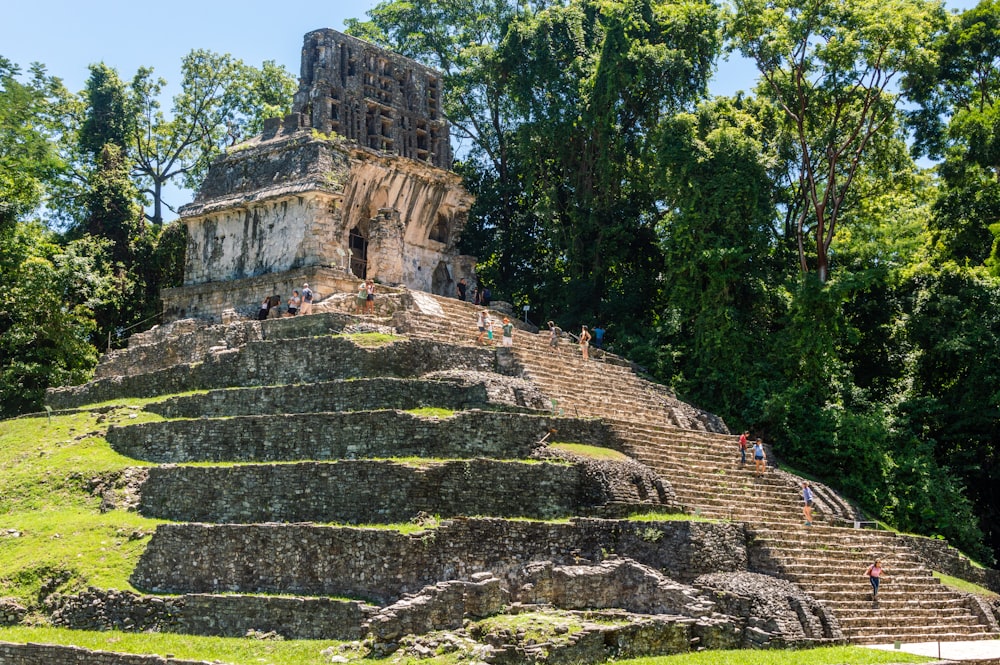 edifício de concreto cinza perto de árvores verdes durante o dia