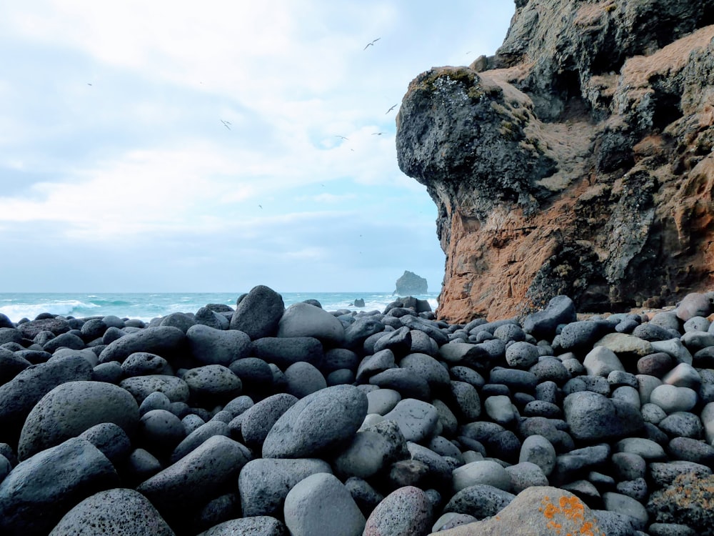 rocky shore with rocks and body of water during daytime