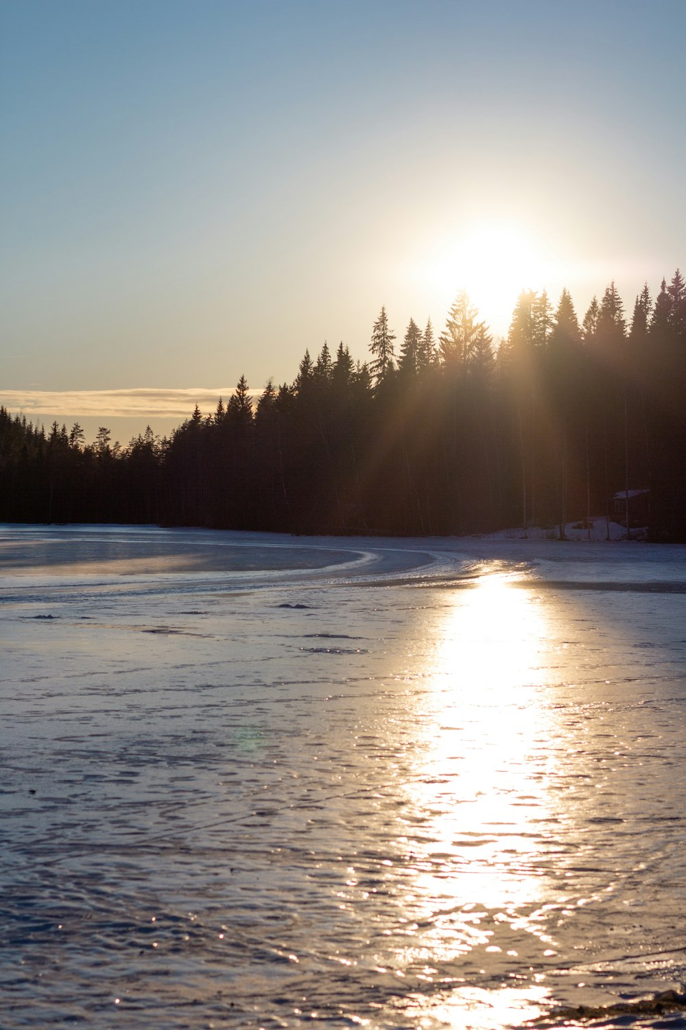 green trees on snow covered ground during sunrise