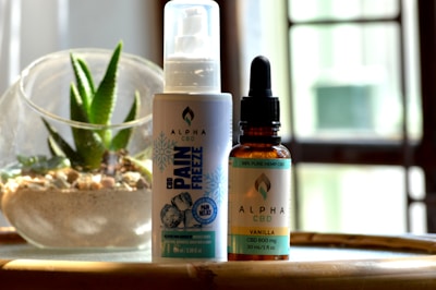 A bottle of CBD Pain Freeze spray and a dropper bottle of CBD Vanilla oil are placed on a wooden surface. Next to them is a small glass planter with a succulent, filled with pebbles and sand. The background features a softly blurred window, suggesting natural light entering the room.