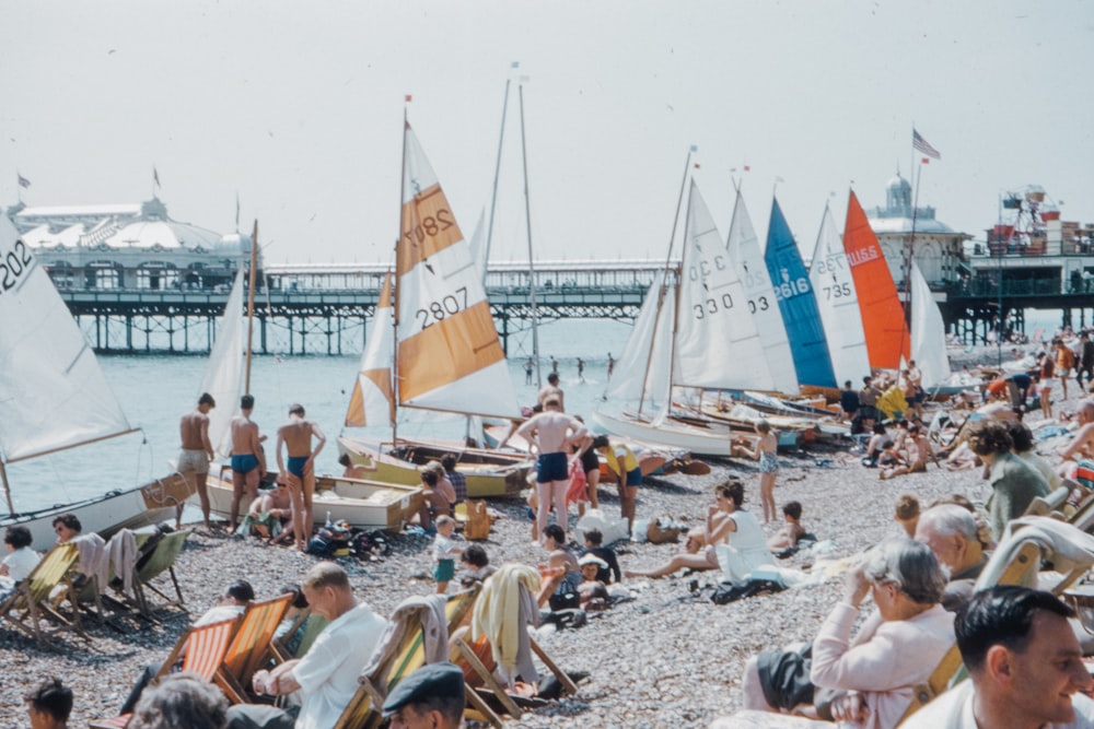 people on beach during daytime