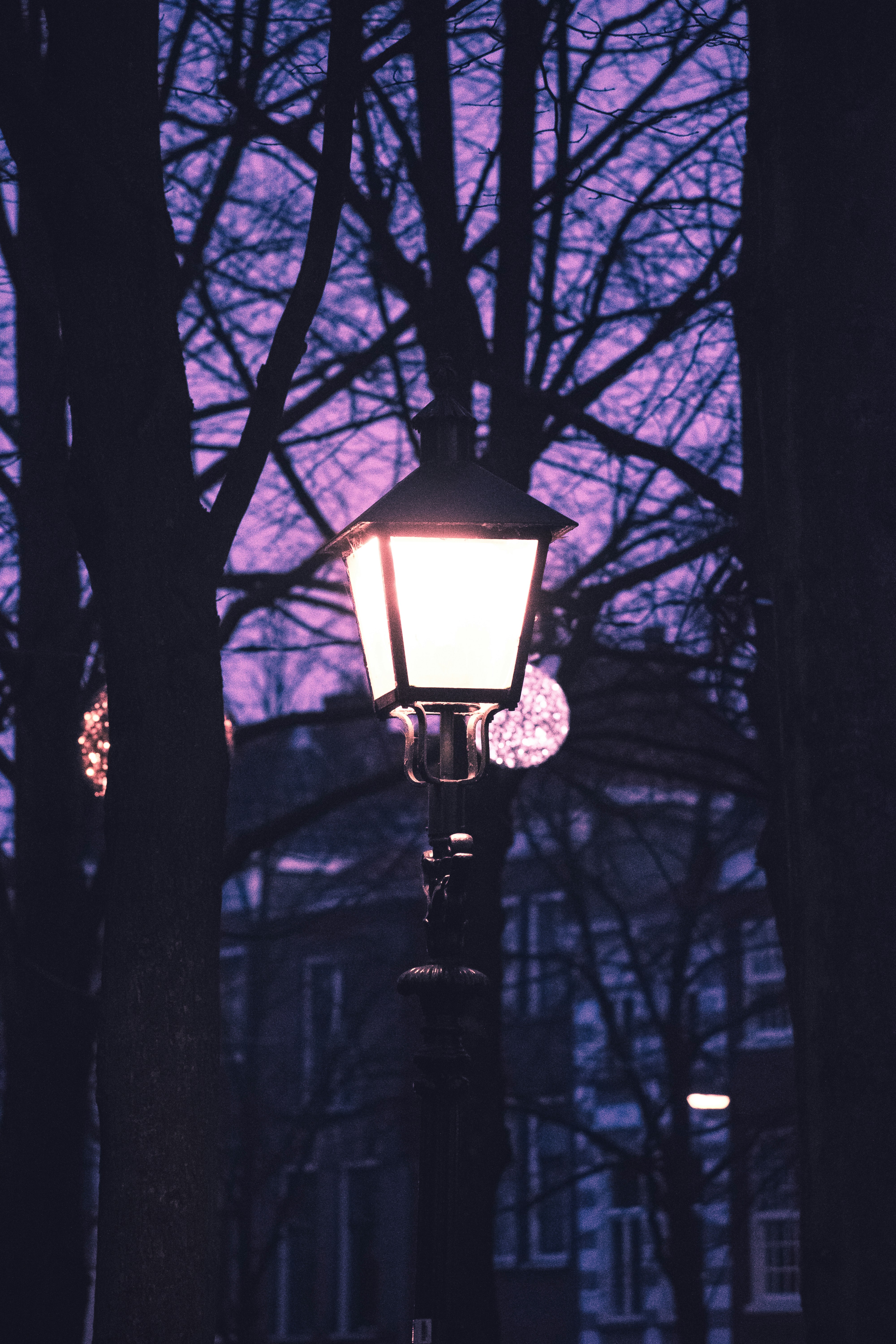 Photo by thezenoeffect