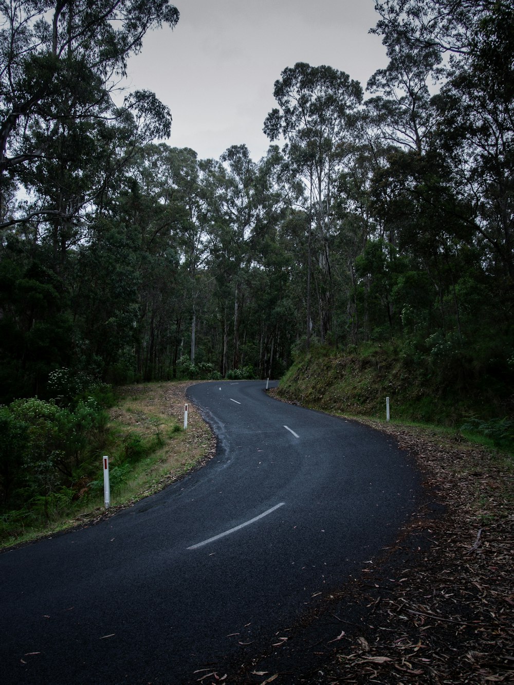 gray concrete road between green trees during daytime