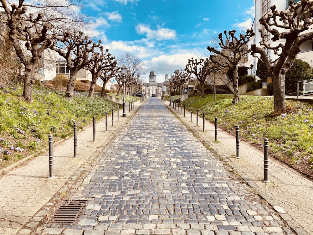 gray concrete pathway between green grass field and trees under blue sky during daytime