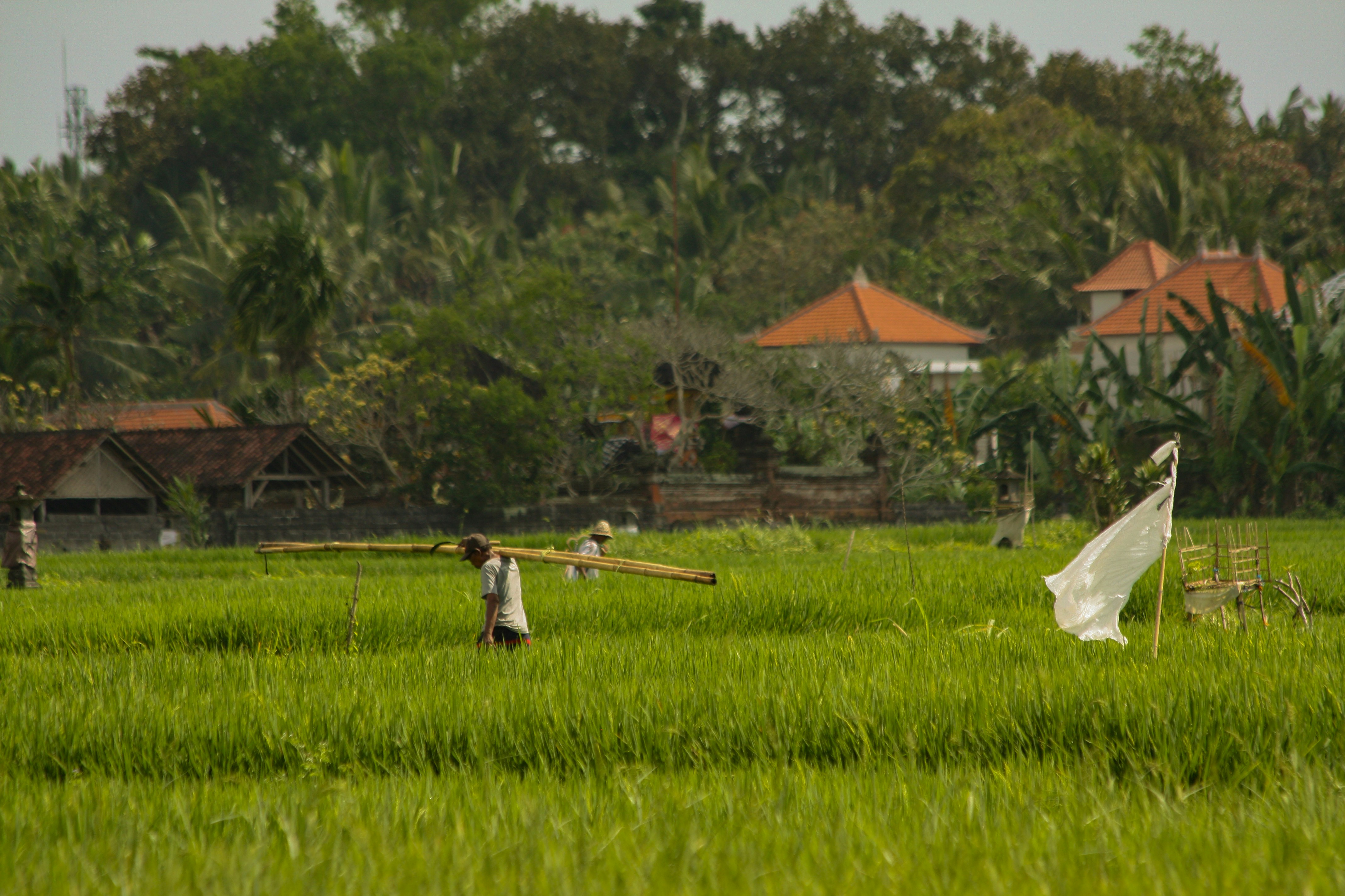 Photo by sam_huijbregts