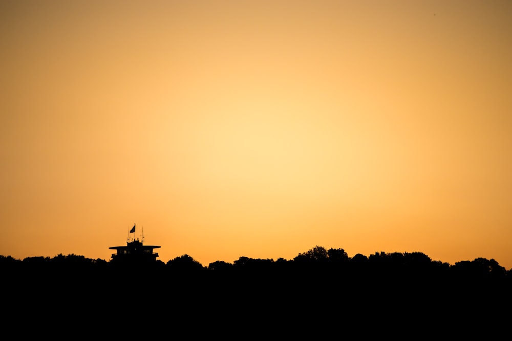 silhouette of trees during sunset