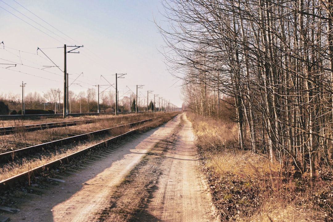 Natural landscape photo spot Olaine parish Salaspils