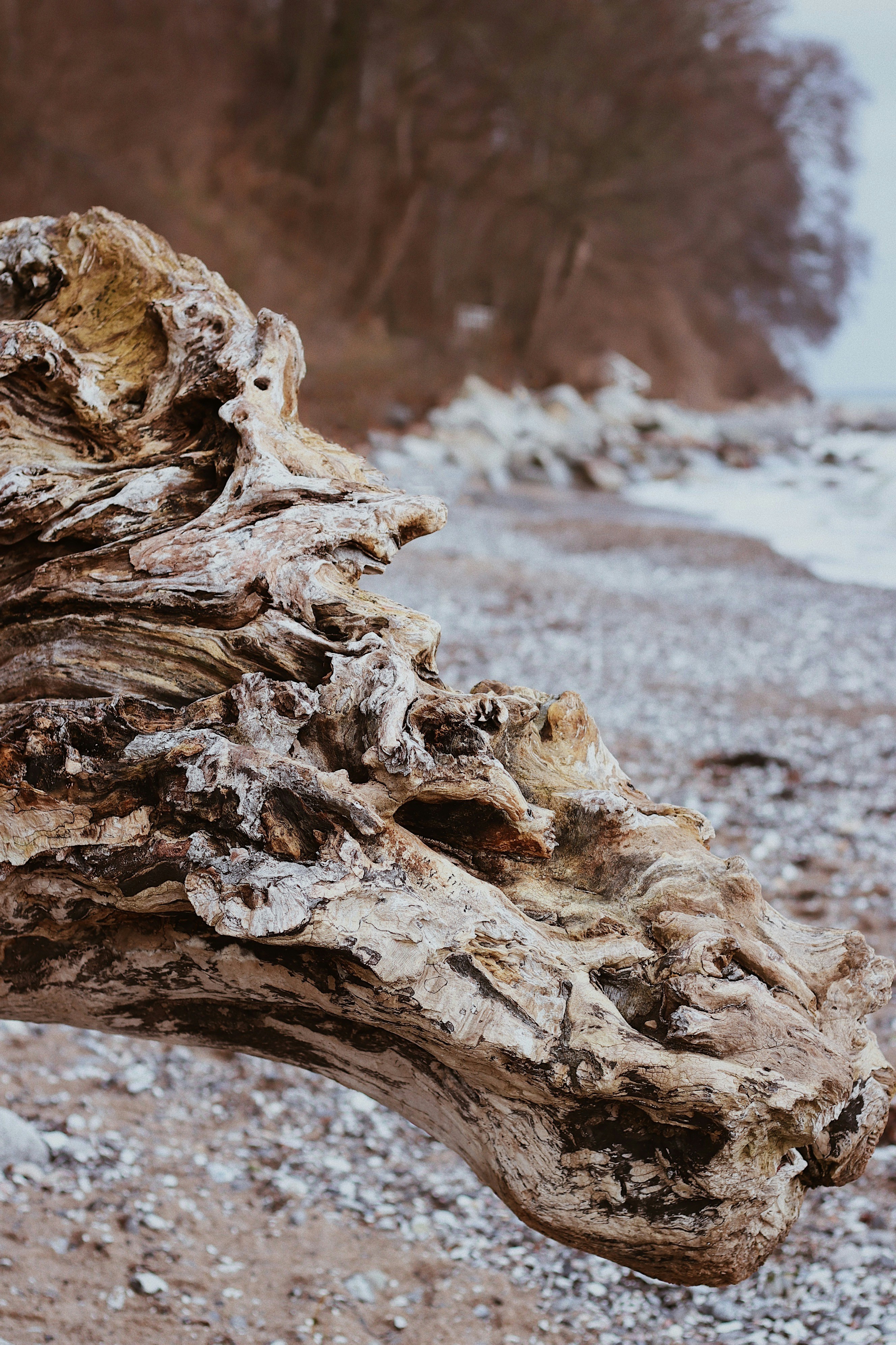 Photo by nesslovetim