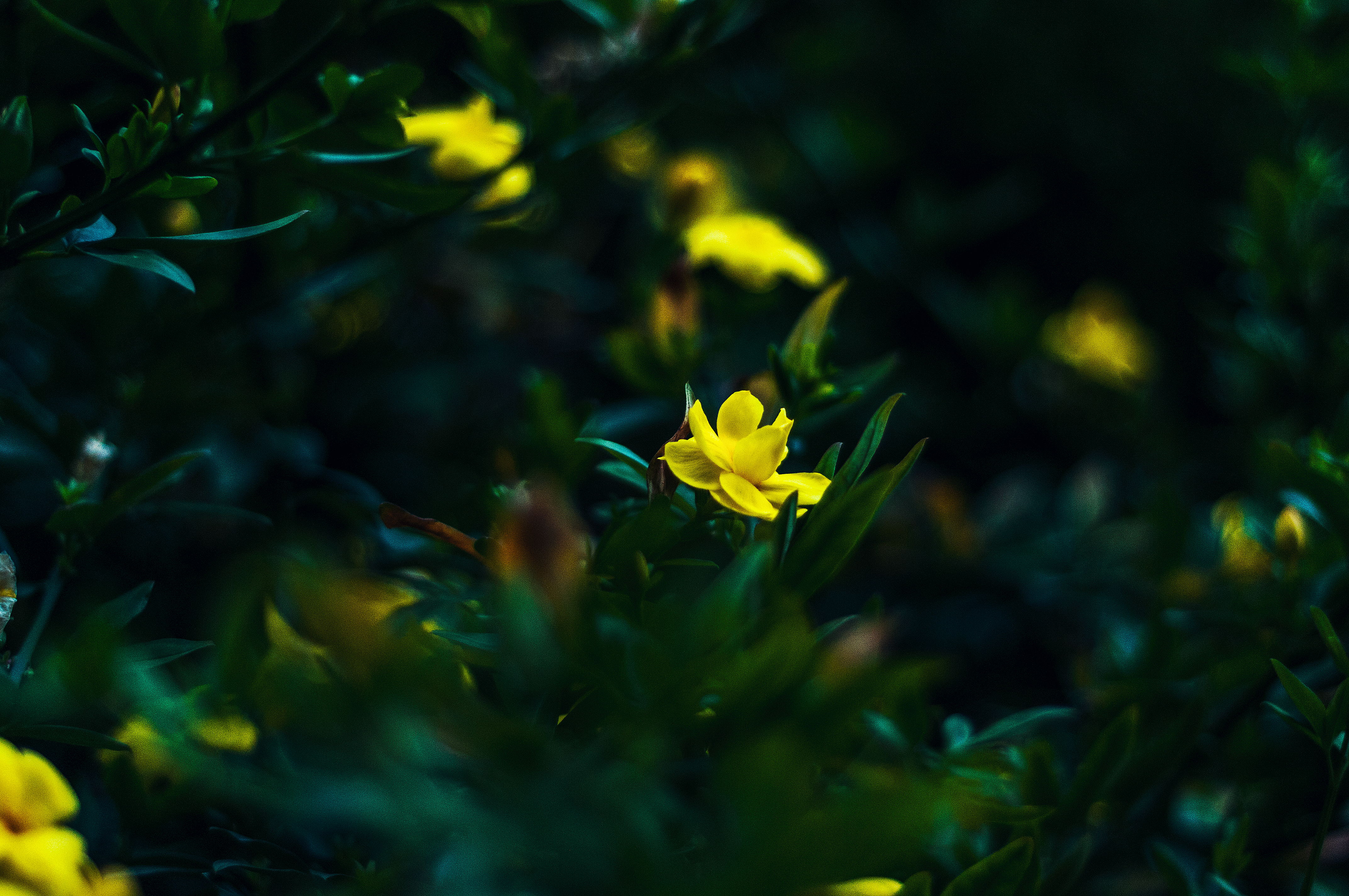 Photo by alexthehills