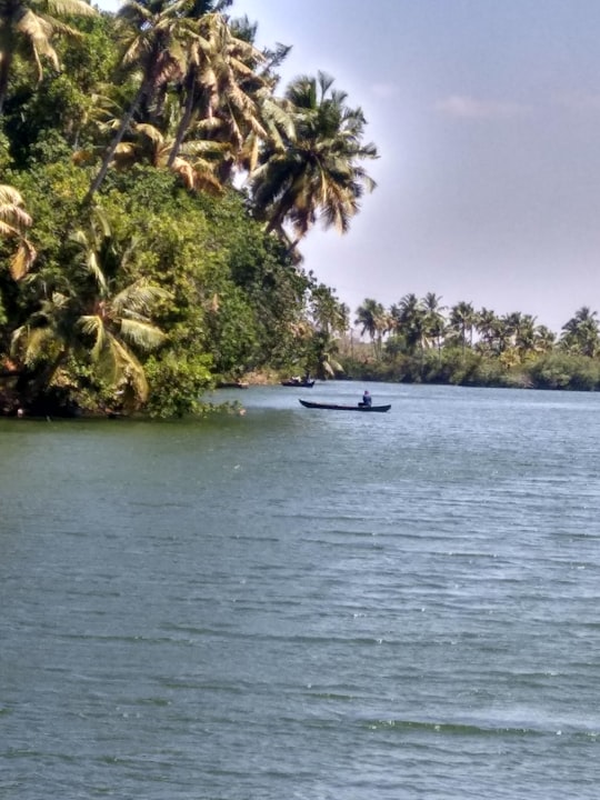 white boat on body of water near green trees during daytime in Kollam India