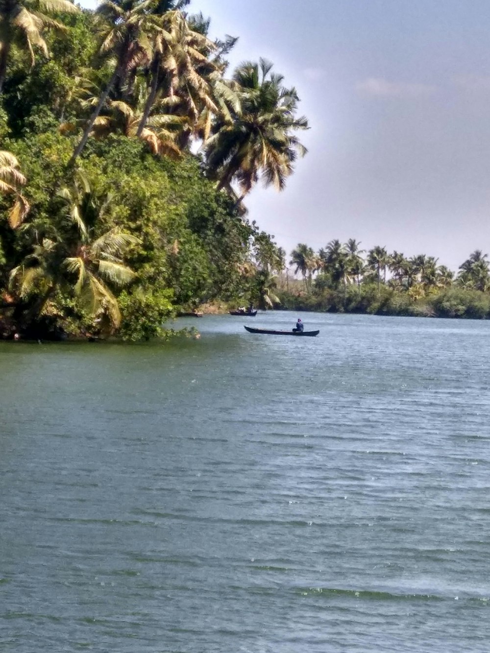 white boat on body of water near green trees during daytime