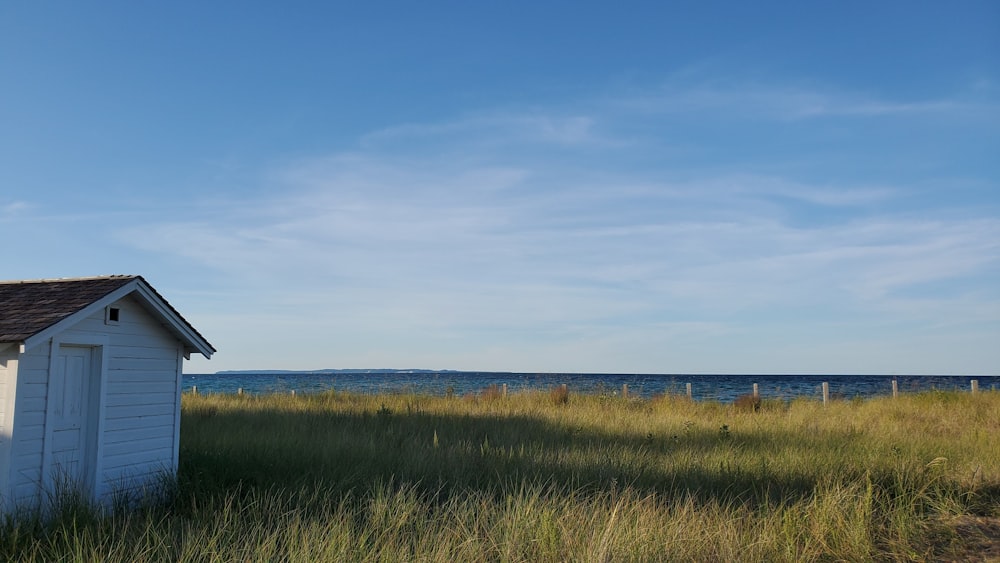 green grass field under blue sky during daytime