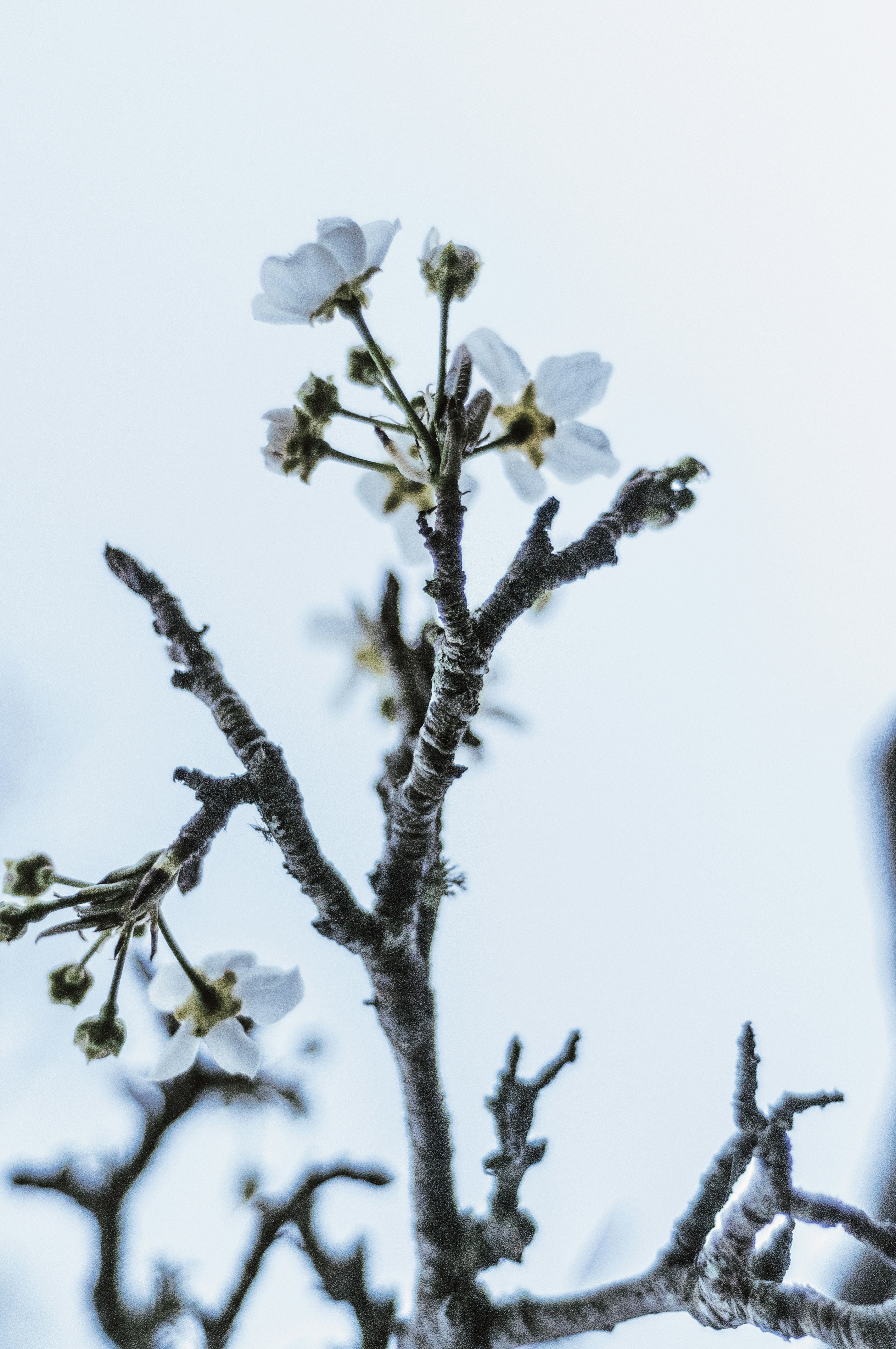 Photo by alexthehills