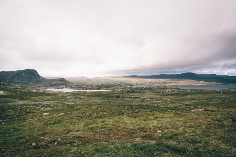 Champ d’herbe verte sous les nuages blancs pendant la journée