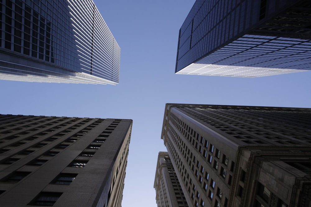 low angle photography of high rise buildings