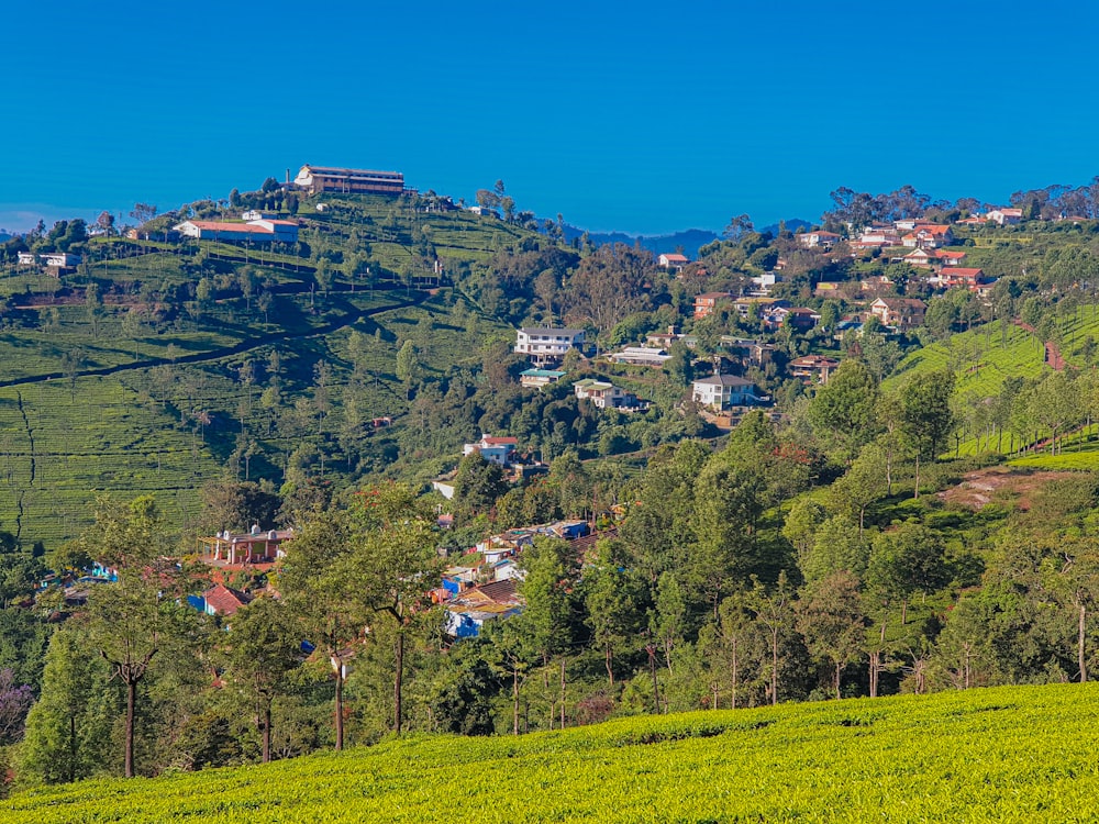 Arbres verts et maisons sur la montagne pendant la journée