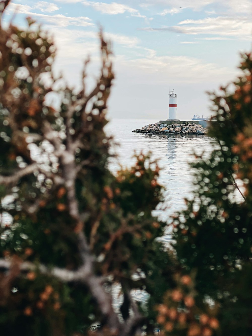 white and black lighthouse near body of water during daytime