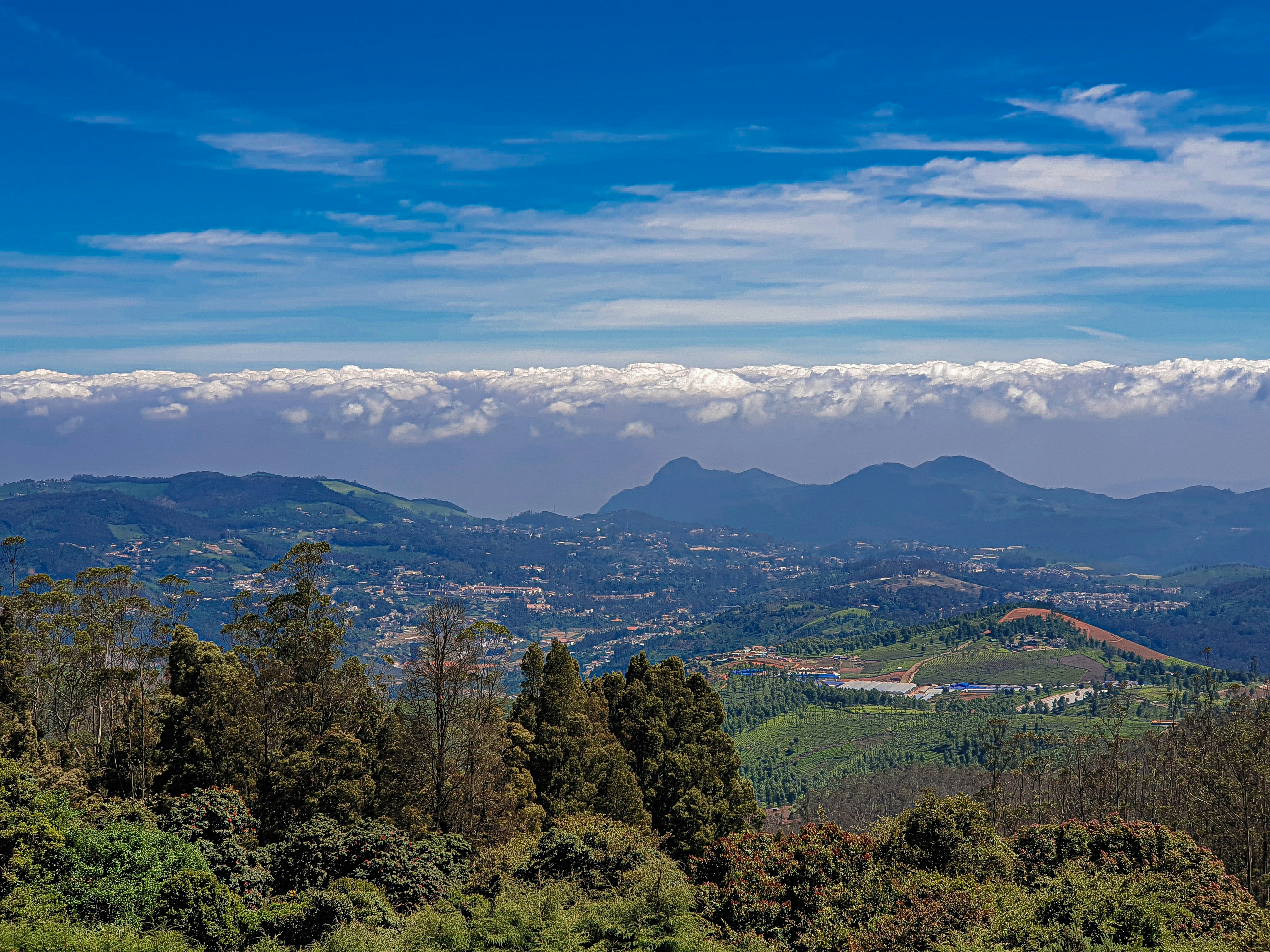 Overview of the Niligiri Hills